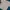[COLORBOX] White Crop Top photo 1