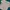 [COLORBOX] White Crop Top