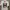 Studio D artisan white tape shirt photo 1