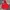 JACKET VINTAGE HONDA RACING CART photo 2