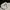 Polo Shirt Pocket North Col White Unisex photo 3