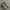 new balance 1906 photo 3