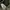 Hoodie kangol photo 2