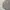 Kemeja Luxury Burberry London Nova Long Sleeve Size L Autent photo 2