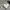 Converse Chuck Taylor All Star Modern Lift Sneakers photo 2