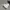 Converse Chuck Taylor All Star Modern Lift Sneakers