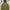 Uniqlo Hybrid Down Jacket 3D Cut (3B-07)