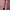 kiko milano concealer  photo 1