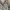 Military Coat by Little Tokyo  photo 3
