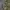 Military Coat by Little Tokyo  photo 4