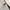 New Balance Y2K Sportswear Sweatpants & Joggers Pria gray photo 4