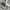 abercrombie & fitch white long cardigan photo 5