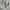 abercrombie & fitch white long cardigan photo 6