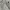 abercrombie & fitch white long cardigan photo 3