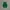 ZARA Minimalist Casual Crop top Wanita green photo 2