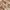 east boy baby doll top photo 7