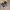 Vans Old school Cap patchwork photo 3