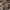 brown flower milkmaid top photo 8