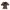 Brown Flower Milkmaid Top