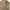 Jill Stuart Grunge Indie Parka Wanita tan brown photo 5