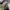 #FR2 Avant Garde Pleated skirt Wanita gray photo 2