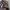 #FR2 Avant Garde Pleated skirt Wanita gray photo 5