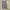BALLON PANTS CHINO GREY - JEMUT photo 7