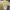 & Other Stories Avant Garde Maxi skirt Wanita multicolor photo 2