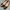 Salvatore Ferragamo Flatshoes