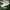 Adidas superstar full white  photo 1