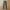 Uniqlo Chinos slimfit warna army photo 5