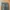 Uniqlo Chinos slimfit warna army photo 6