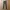 Uniqlo Chinos slimfit warna army photo 1