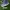 Puma Suede blue photo 1