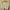 Beige Top photo 1
