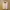 Basic Beige Top photo 1