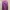 Maroon Dress photo 1