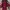 Maroon Dress photo 4