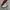 VANS SK8HI IVORY WHITE photo 6