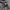 Nike club essential cargo wide pant photo 7