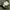 Nike club essential cargo wide pant photo 9