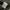 Nike club essential cargo wide pant photo 8