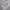 Nike Gray Windbreaker photo 2