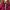 Fred Perry Tracktop Burgundy Taped photo 3
