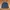 Type II Denim Jacket