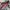 Tas HARAJUKU LOVERS Sling Bag Original photo 7