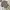 Long jacket winter anak limitedoudou revesible supr cakep photo 6