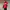 Ellesse Y2K Sportswear Track jacket Pria white red photo 2