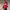 Ellesse Y2K Sportswear Track Jacket Pria White Red
