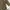 parka zara woman army photo 7